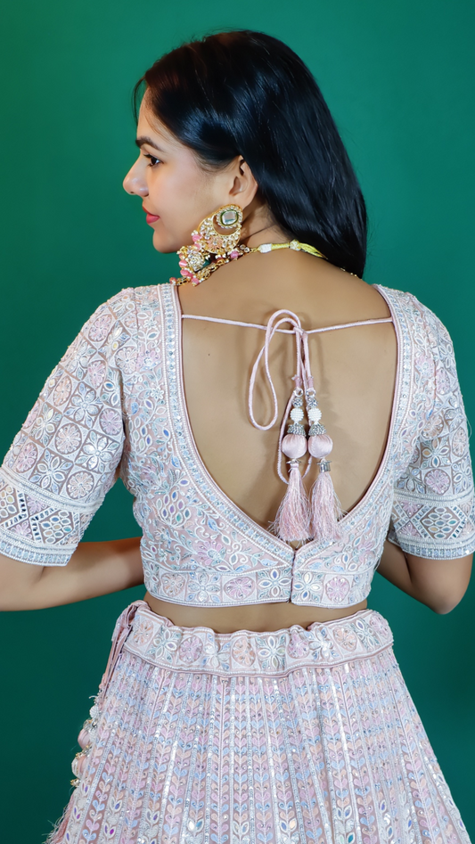 Baby Pink Embroidered Lehenga
