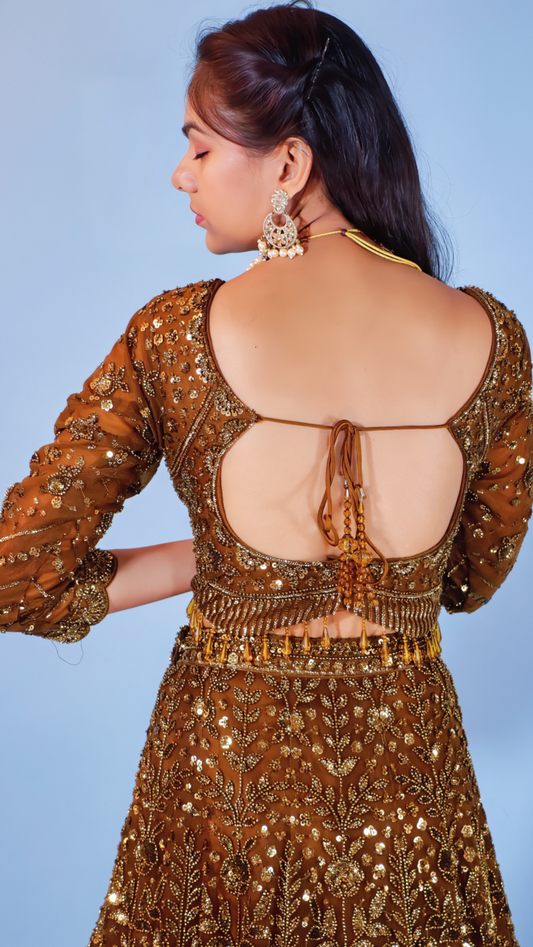 Bronze Net Lehenga