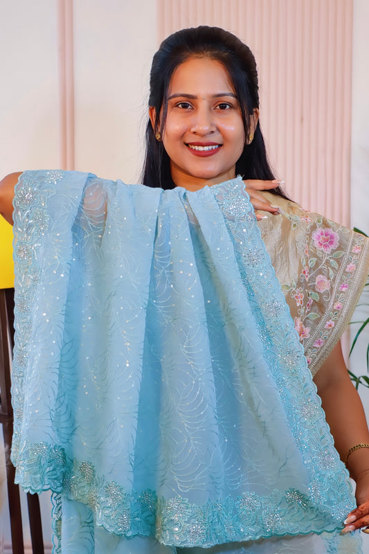 Elegant Crust Silk Saree