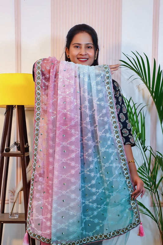 Multicolor Chiffon Elegance Saree