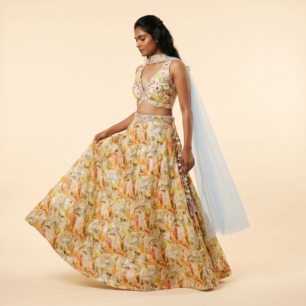 Haldi Collection