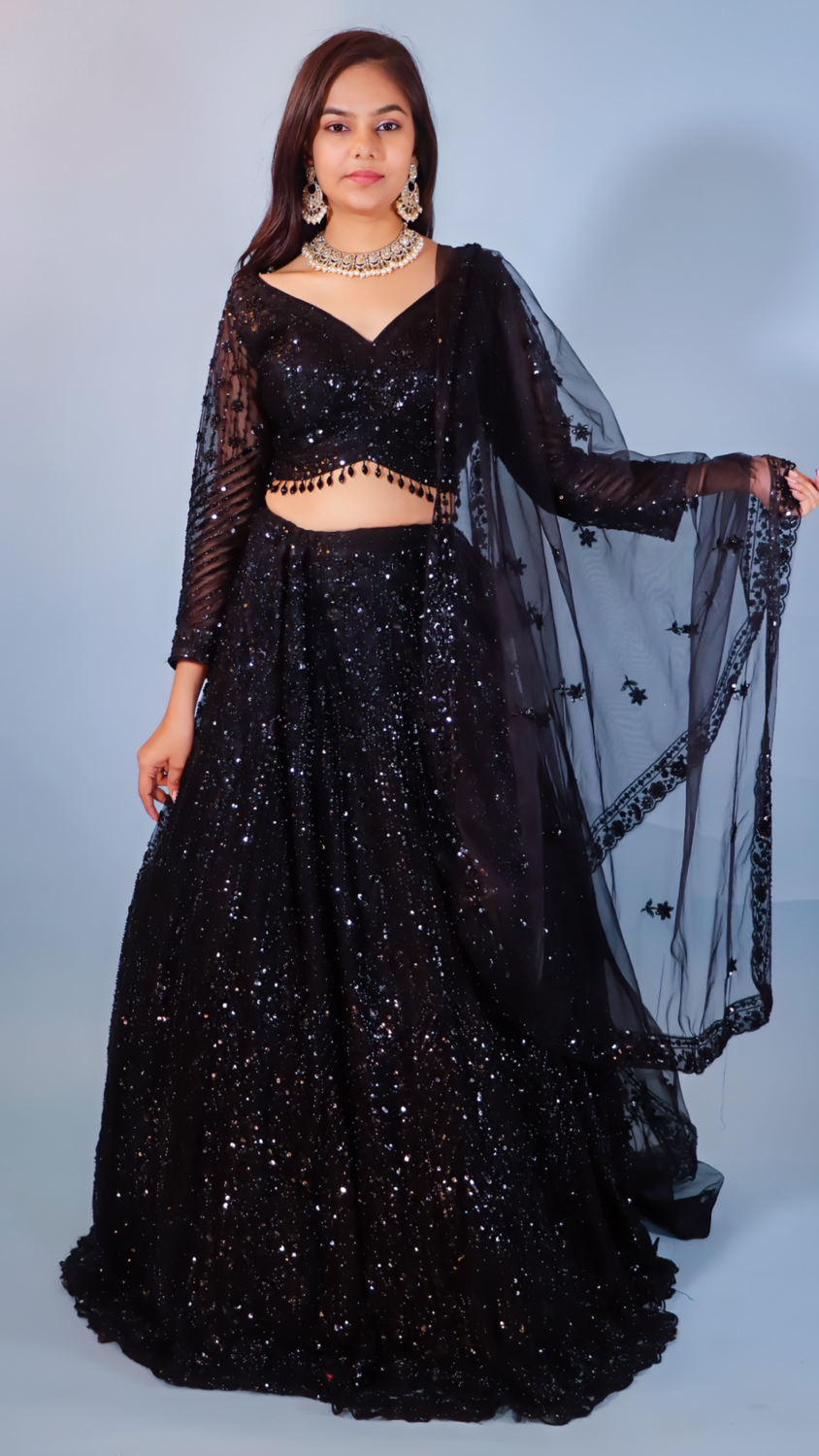 Elegant Black Net Lehenga