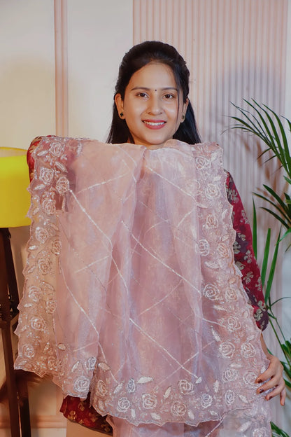 Dusky pink shimmer saree, held open to show the shimmer