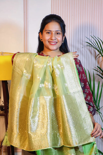 Pista green silk saree, pallu held open to show the zari weave