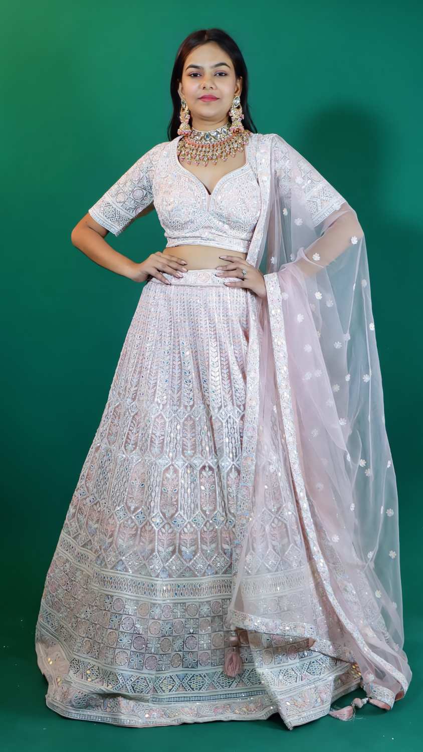 Baby Pink Embroidered Lehenga