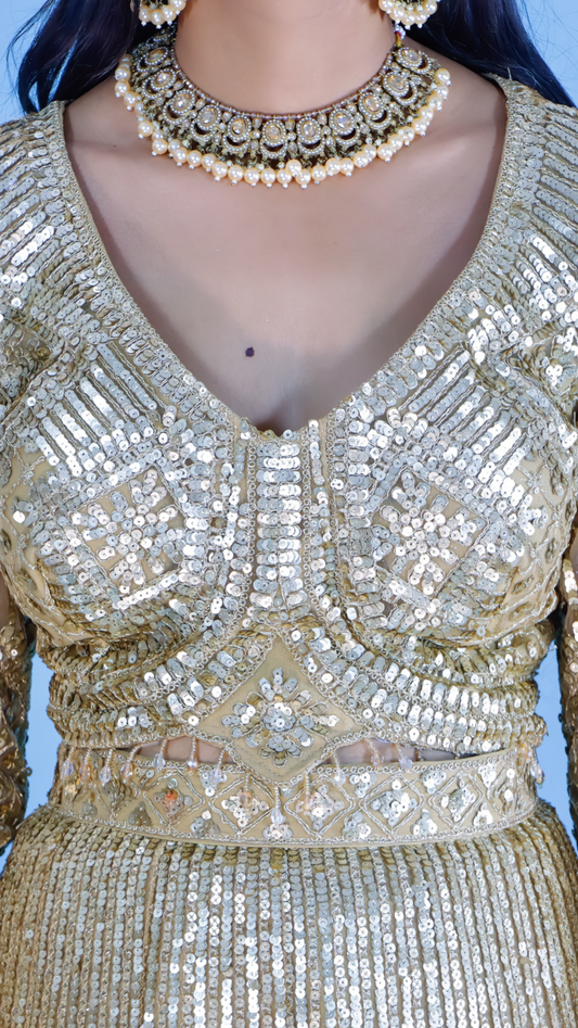 Golden Sequins & Zari Work Lehenga