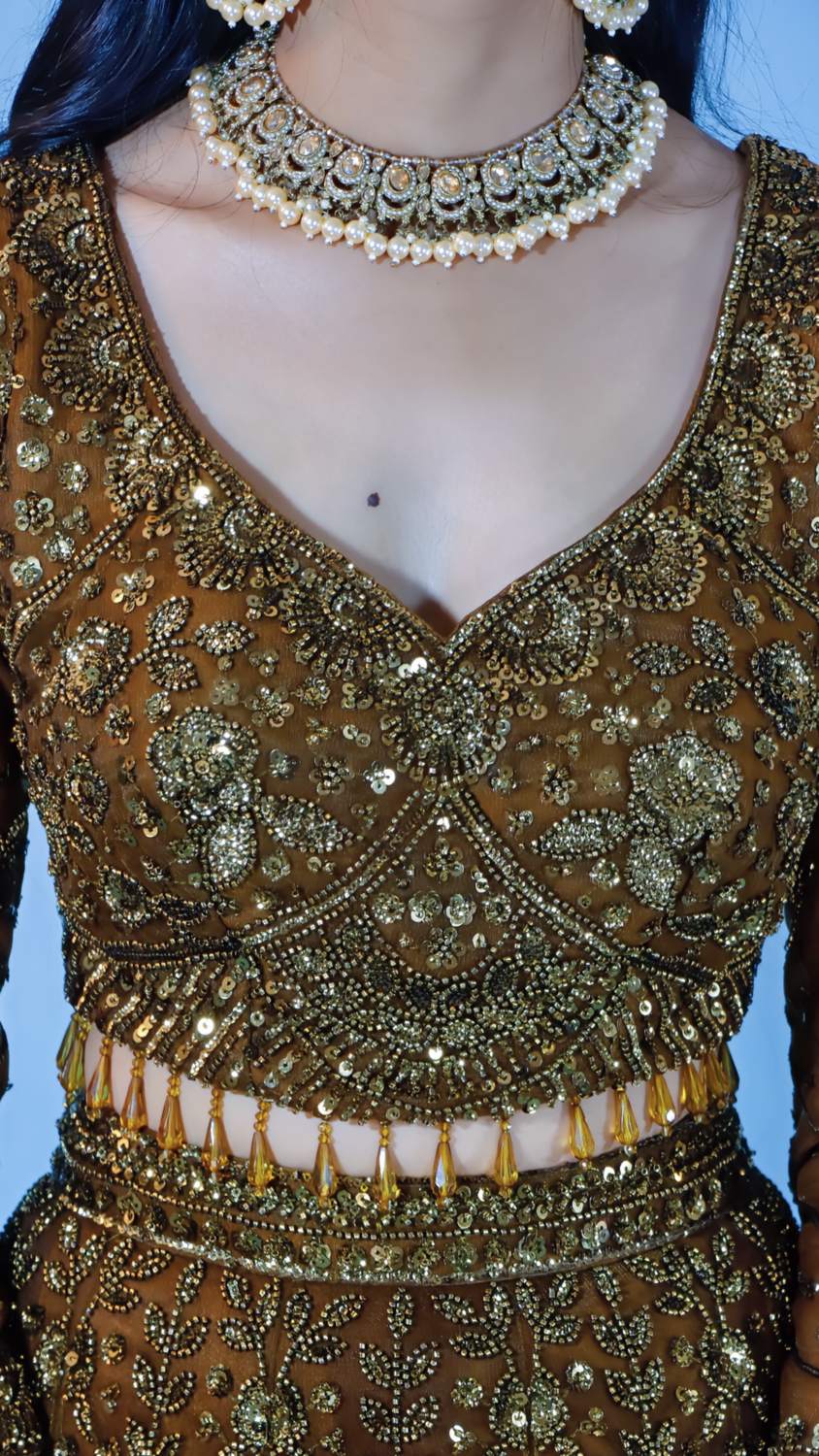 Bronze Net Lehenga