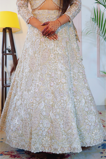 Pastel Pistachio Beige Lehenga Set