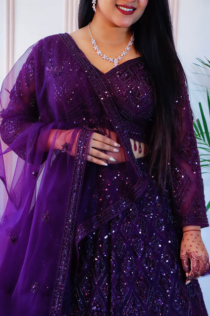 Elegant Lehenga in Wine