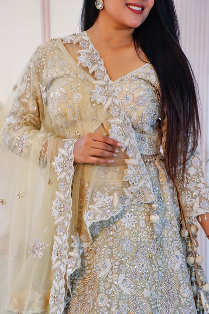 Pastel Pistachio Beige Lehenga Set