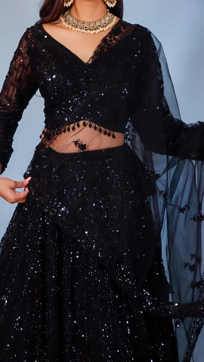Elegant Black Net Lehenga