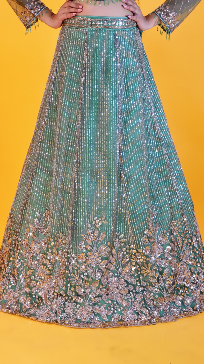 Green Elegant Lehenga