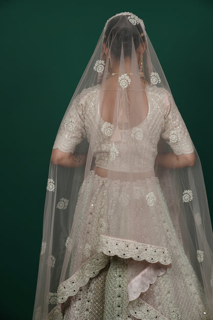 Pastel Hued Lehenga Set
