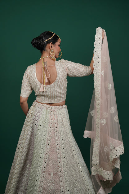 Pastel Hued Lehenga Set