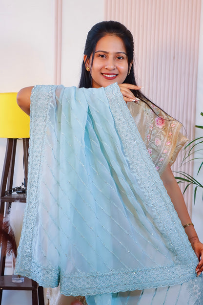 Elegant Tissue Georgette Saree