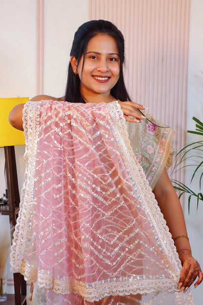Graceful Net Saree