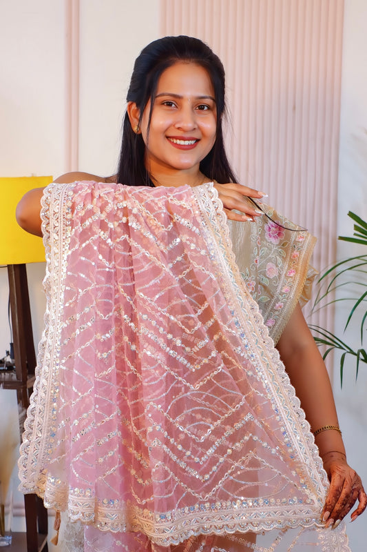 Graceful Net Saree