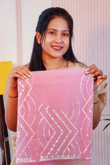 Graceful Net Saree