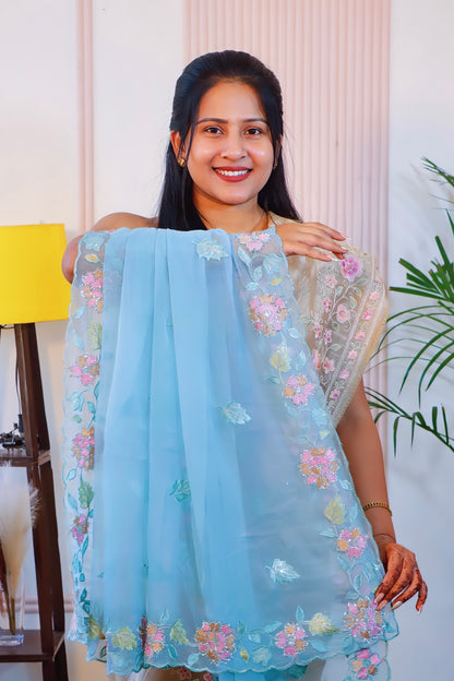 Elegant Firozi Crust Saree
