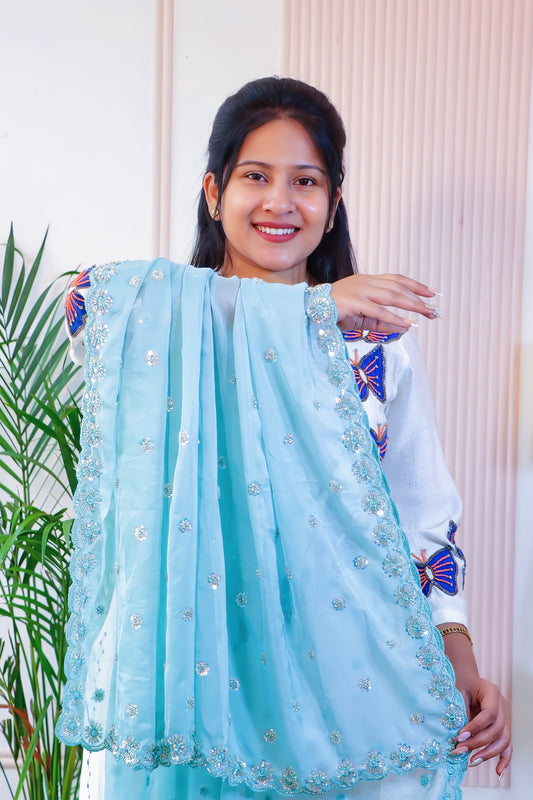 Elegant Powder Blue Pure Silk Saree