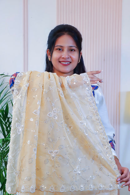 Golden Glow Organza Silk Saree