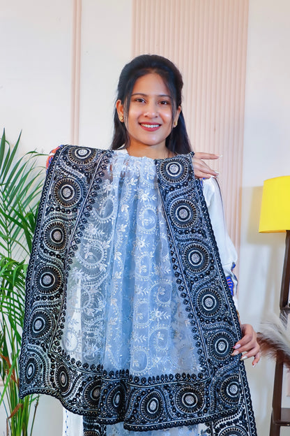 Graceful Grey Black Net Embroidered Saree