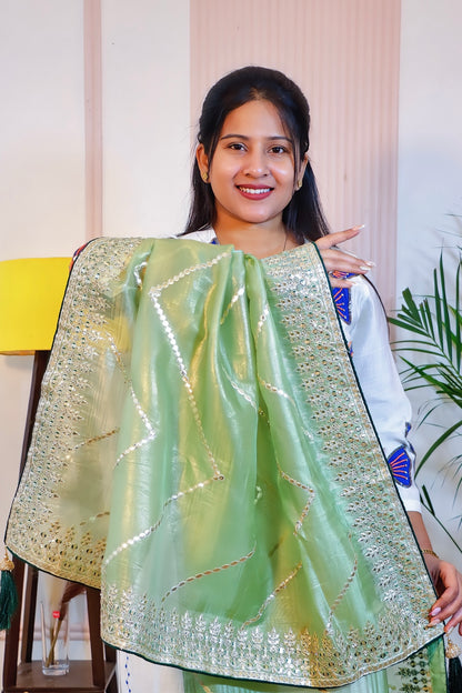 Sage Green Shimmer Saree