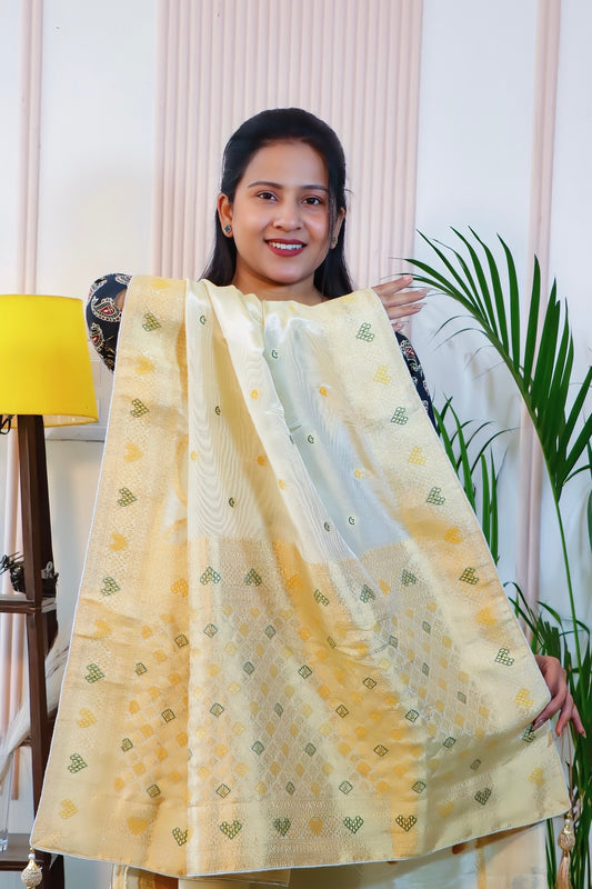 Off-White Elegance Silk Saree