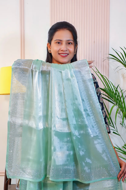 Powder Blue Saree