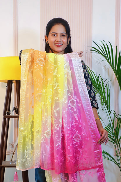 Radiant Multicolor Chiffon Saree