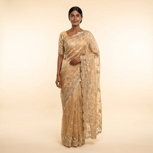 Golden Glow Organza Silk Saree on model - front