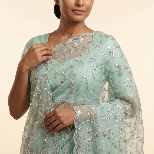 Mint Green Organza Silk Saree on model - detail
