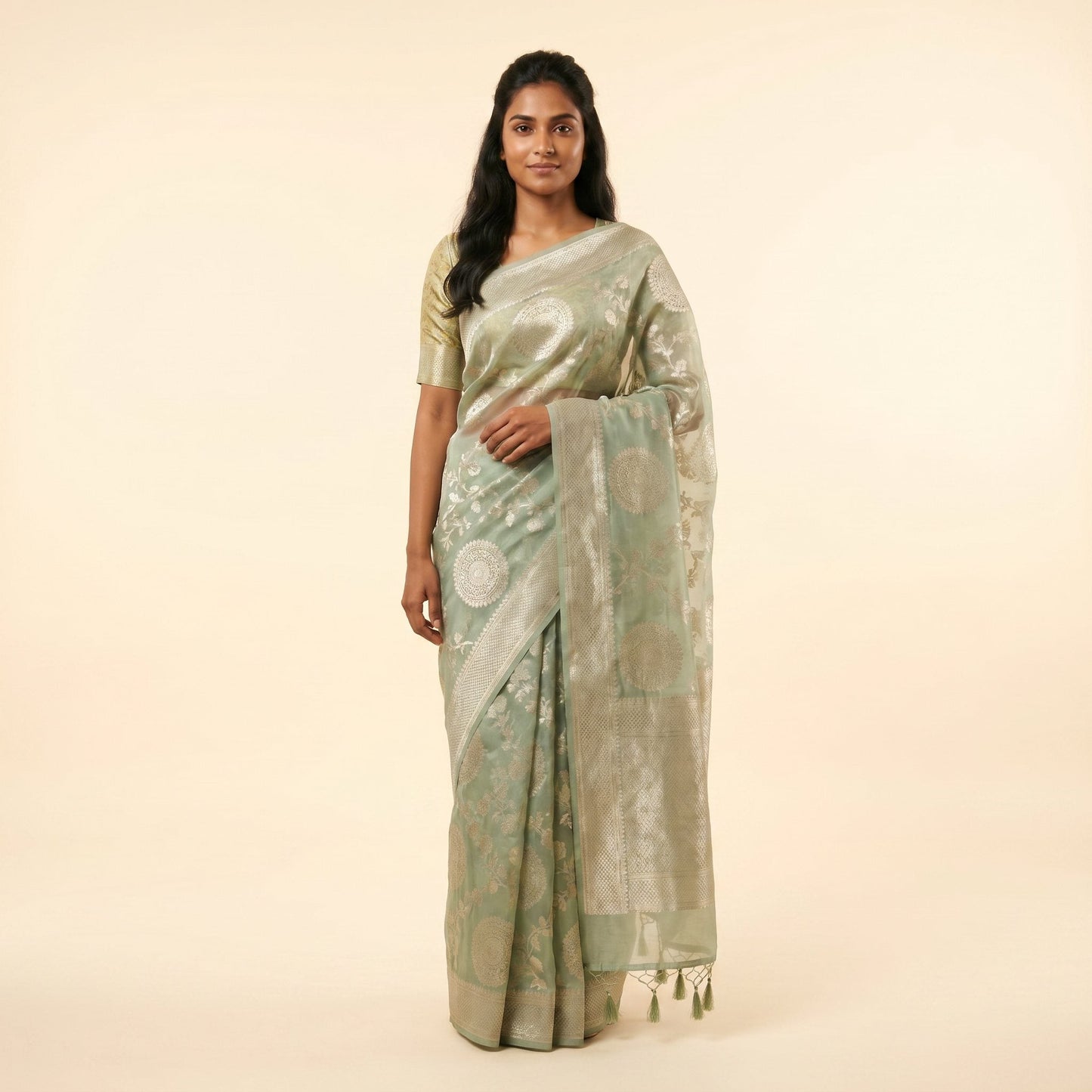 Elegant Pista Green Silk Saree on model - front